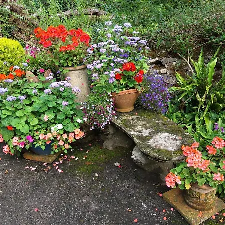 Lile At Gleaston Water Mill * Улверстон