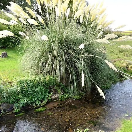 Lile At Gleaston Water Mill Dom wakacyjny *