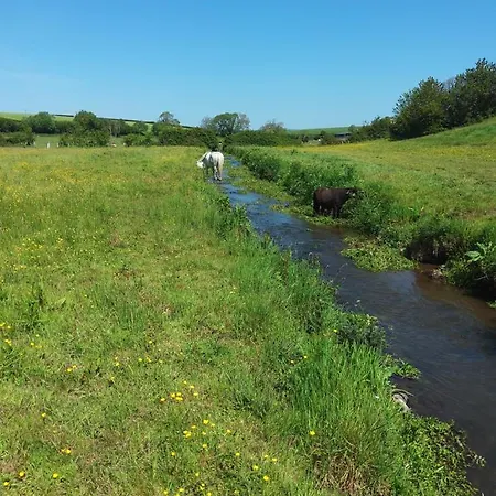 Lile At Gleaston Water Mill * ألفرستون