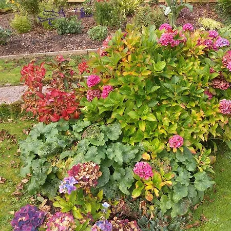 Dom wakacyjny Lile At Gleaston Water Mill *