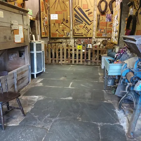 Lile At Gleaston Water Mill *