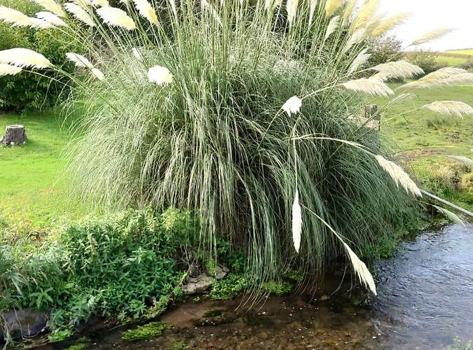 Lile At Gleaston Water Mill 펜션 *