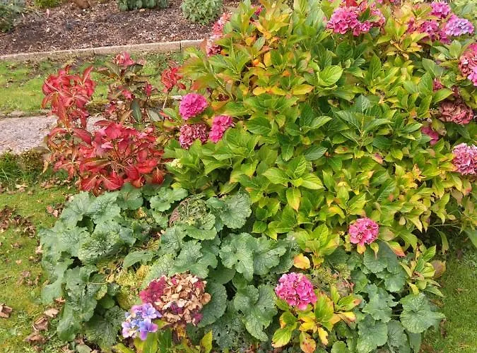 Holiday home Lile At Gleaston Water Mill *