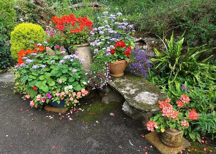 Lile At Gleaston Water Mill * Ulverston